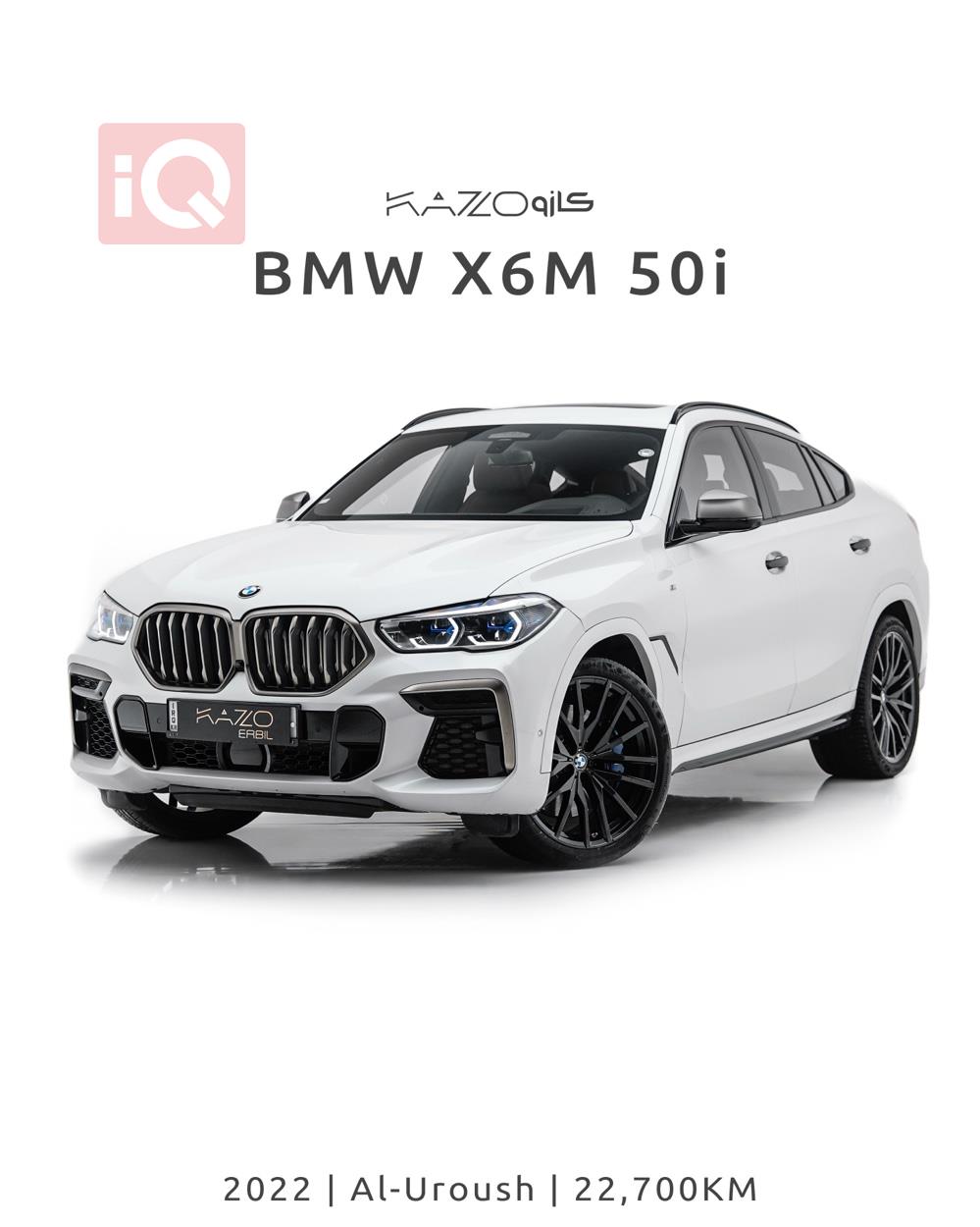 BMW X6